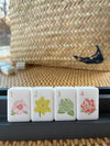 ACK Destination Tiles (sold out; available for pre order)